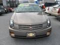 Radiant Bronze - CTS Sport Sedan Photo No. 9
