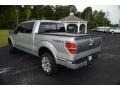 Ingot Silver Metallic - F150 Platinum SuperCrew 4x4 Photo No. 7