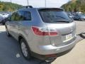 2010 Liquid Silver Metallic Mazda CX-9 Touring AWD  photo #5