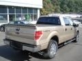 2013 Pale Adobe Metallic Ford F150 XLT SuperCrew 4x4  photo #8