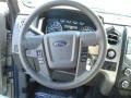 Adobe 2013 Ford F150 XLT SuperCrew 4x4 Steering Wheel