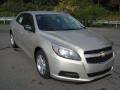 Champagne Silver Metallic - Malibu LS Photo No. 2