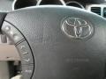 Titanium Metallic - 4Runner SR5 Photo No. 20