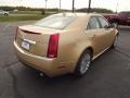 2013 Summer Gold Metallic Cadillac CTS 3.6 Sedan  photo #5