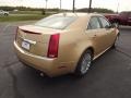 Summer Gold Metallic - CTS 3.6 Sedan Photo No. 5