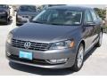 Platinum Gray Metallic - Passat TDI SEL Photo No. 3