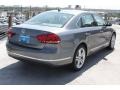 Platinum Gray Metallic - Passat TDI SEL Photo No. 6