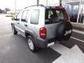 Bright Silver Metallic - Liberty Sport Photo No. 3