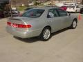 2001 Lunar Mist Metallic Toyota Camry XLE V6  photo #19