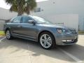 Platinum Gray Metallic - Passat TDI SEL Photo No. 1