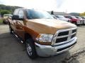 2012 Tequila Sunrise Pearl Dodge Ram 2500 HD ST Crew Cab 4x4  photo #6