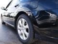 Super Black - Maxima 3.5 SE Photo No. 4