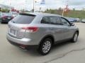 Liquid Silver Metallic - CX-9 Touring AWD Photo No. 6