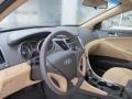 Camel Pearl - Sonata GLS Photo No. 11