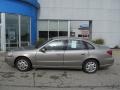 Pewter - L Series L200 Sedan Photo No. 3