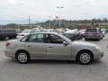 Pewter - L Series L200 Sedan Photo No. 7