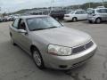 Pewter - L Series L200 Sedan Photo No. 8