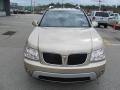 2007 Sedona Beige Metallic Pontiac Torrent AWD  photo #10