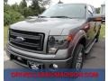 2013 Sterling Gray Metallic Ford F150 FX4 SuperCab 4x4  photo #1