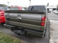 2013 Sterling Gray Metallic Ford F150 FX4 SuperCab 4x4  photo #2