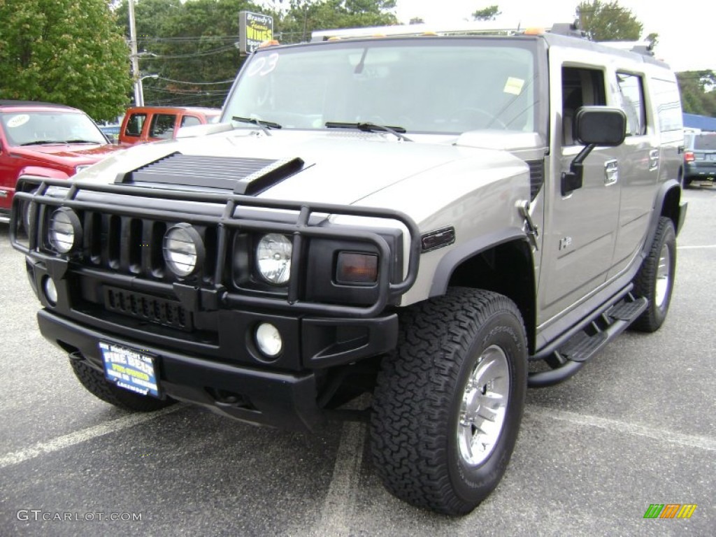 2003 H2 SUV - Pewter Metallic / Wheat photo #1