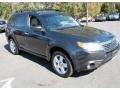 2009 Dark Gray Metallic Subaru Forester 2.5 X L.L.Bean Edition  photo #3