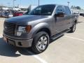 2012 Sterling Gray Metallic Ford F150 FX4 SuperCrew 4x4  photo #9