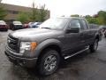 Sterling Gray Metallic - F150 STX SuperCab 4x4 Photo No. 5