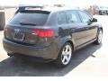 Lava Grey Pearl Effect - A3 2.0T Photo No. 9