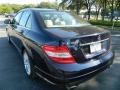 2009 Capri Blue Metallic Mercedes-Benz C 300 Luxury  photo #7