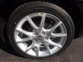 Pitch Black - Dart SXT Photo No. 17