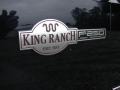 True Blue Metallic - F250 Super Duty King Ranch Crew Cab 4x4 Photo No. 148