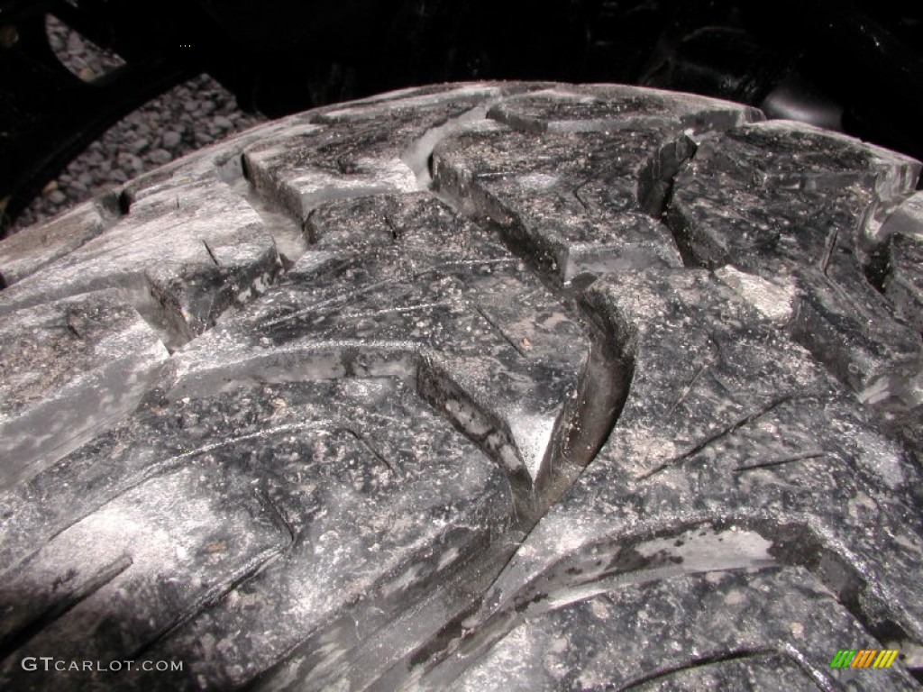 2006 F150 FX4 SuperCrew 4x4 - Black / Black/Medium Flint photo #23