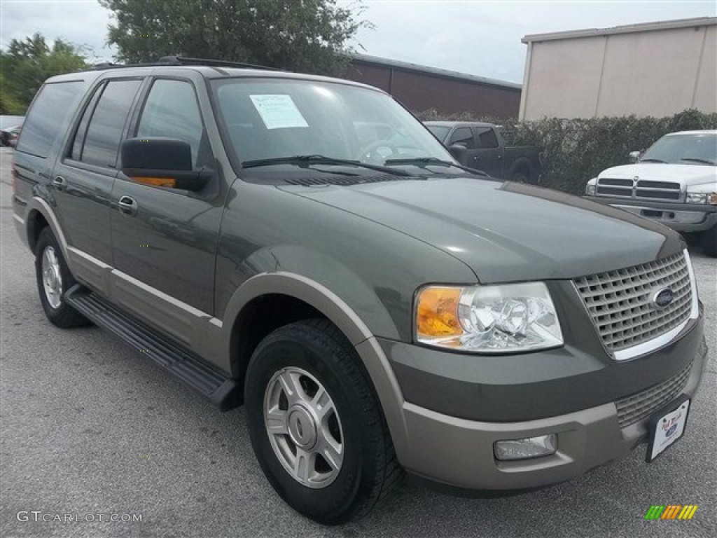 2003 Expedition Eddie Bauer - Estate Green Metallic / Medium Parchment photo #1