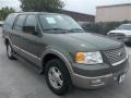 2003 Estate Green Metallic Ford Expedition Eddie Bauer  photo #1