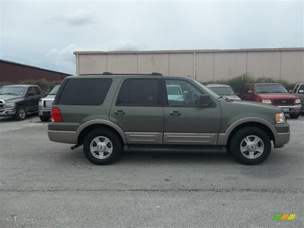 2003 Expedition Eddie Bauer - Estate Green Metallic / Medium Parchment photo #2
