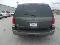 2003 Estate Green Metallic Ford Expedition Eddie Bauer  photo #4