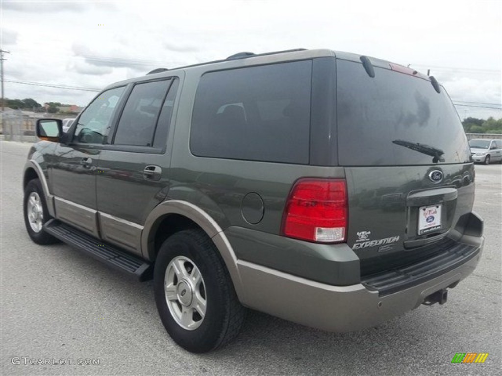 2003 Expedition Eddie Bauer - Estate Green Metallic / Medium Parchment photo #5