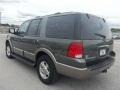 2003 Estate Green Metallic Ford Expedition Eddie Bauer  photo #5