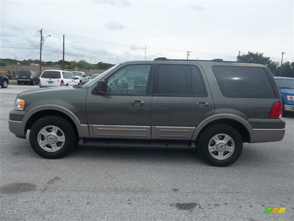2003 Expedition Eddie Bauer - Estate Green Metallic / Medium Parchment photo #6