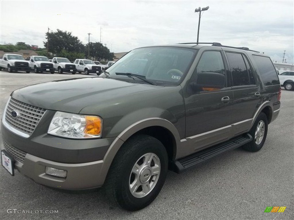 2003 Expedition Eddie Bauer - Estate Green Metallic / Medium Parchment photo #7