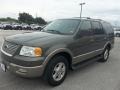 2003 Estate Green Metallic Ford Expedition Eddie Bauer  photo #7
