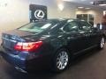 Smoky Granite Mica - LS 460 AWD Photo No. 2
