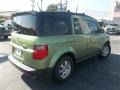 2006 Kiwi Metallic Honda Element EX-P AWD  photo #3