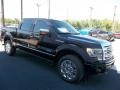 2013 Tuxedo Black Metallic Ford F150 Platinum SuperCrew 4x4  photo #11