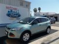 2013 Frosted Glass Metallic Ford Escape S  photo #1