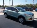 2013 Frosted Glass Metallic Ford Escape S  photo #10