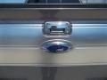 2013 Sterling Gray Metallic Ford F150 Platinum SuperCrew 4x4  photo #5