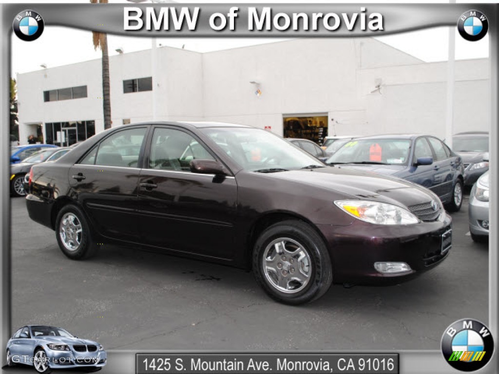 2002 Camry LE - Black Walnut Pearl / Stone photo #1