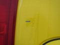 Yellow - H3  Photo No. 17